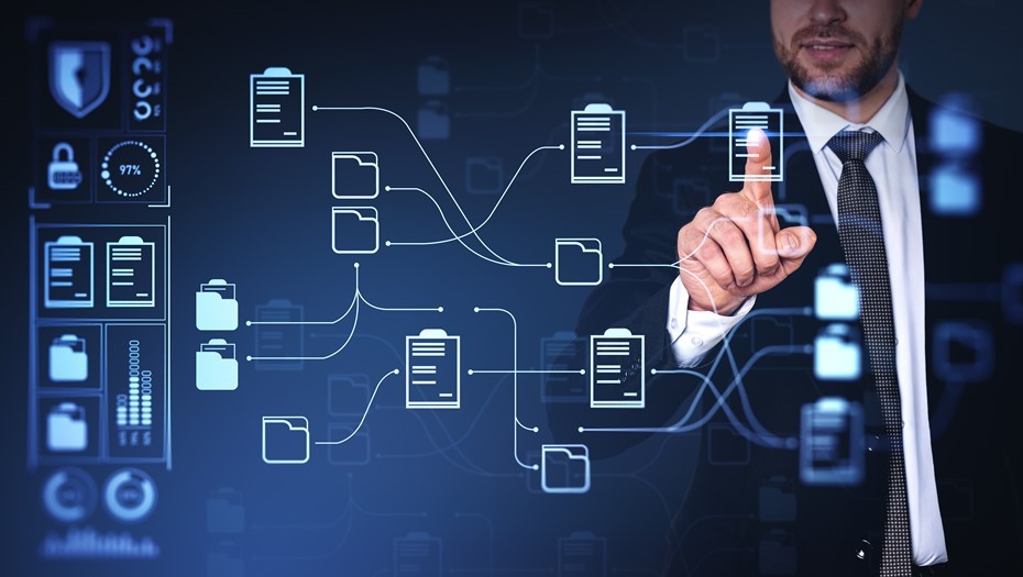 Gestion d’entreprise et digitalisation : Former les futurs leaders