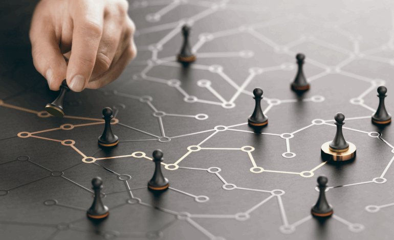 Gestion d’entreprise et stratégies de croissance