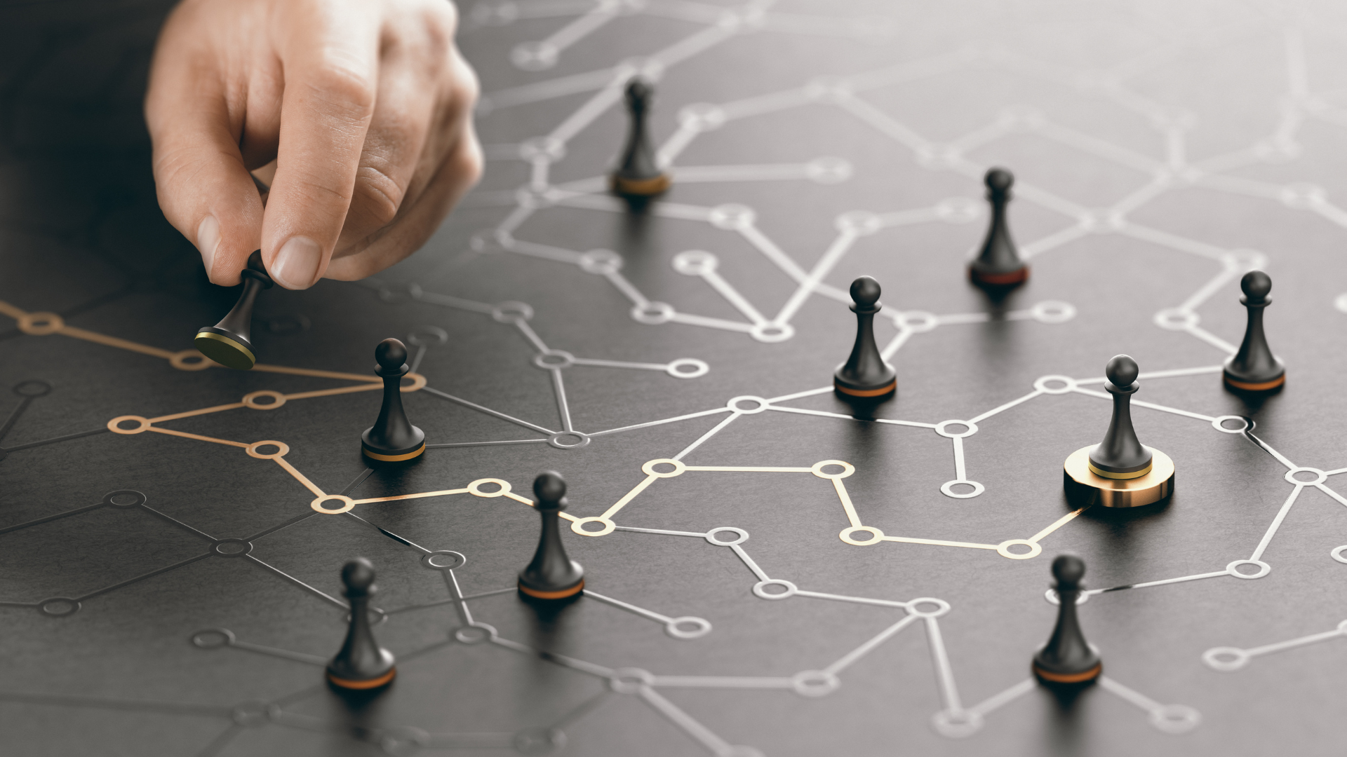 Gestion d’entreprise et stratégies de croissance