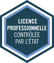 Licence Pro au Maroc : Votre Passeport Vers l’Emploi et la Réussite Professionnelle