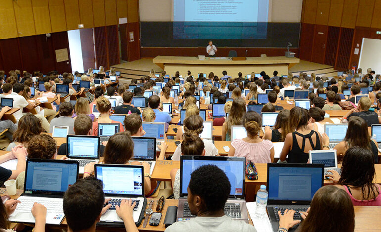 Les meilleures Licences universitaires les plus demandées par les recruteurs – Guide complet pour l’employabilité au Maroc et à l&rsquo;international